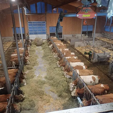 Frandlhof Farm stay